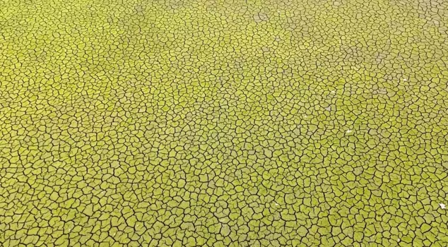 Apocalypse scenario for Istanbul: If we enter summer like this, it will be a disaster.