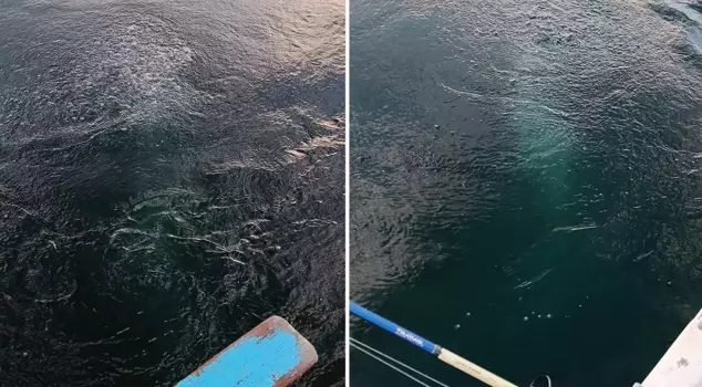 One of our cities is talking about the mysterious image in the water: It's boiling quite a lot.