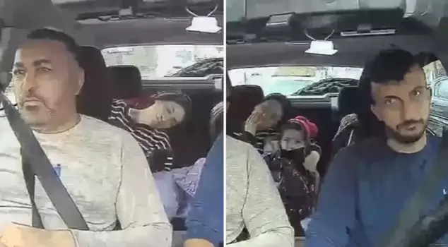 Here are the last images of the Bug family.