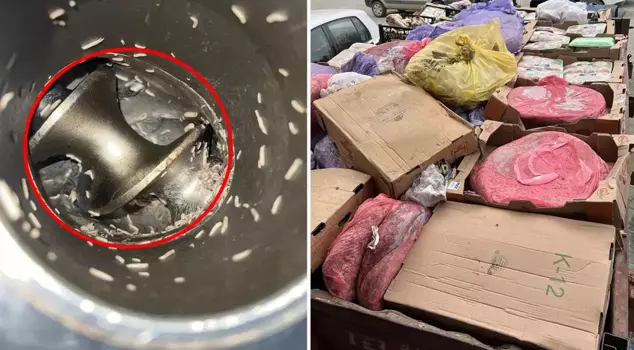 The minced meat machine from the deli turned out to be infested with worms.