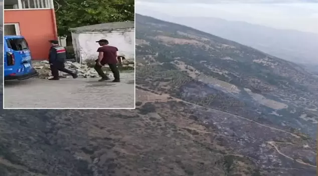 Great irresponsibility! The fire in the garden burned down the forest.