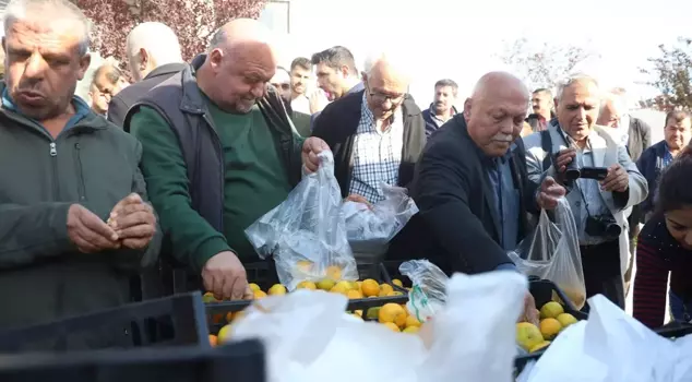 It's being sold for 30 TL in the markets! When the price dropped to 2 TL, they distributed tons of it for free.