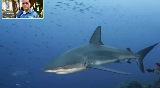 The biologist who survived the shark attack recounted those moments.