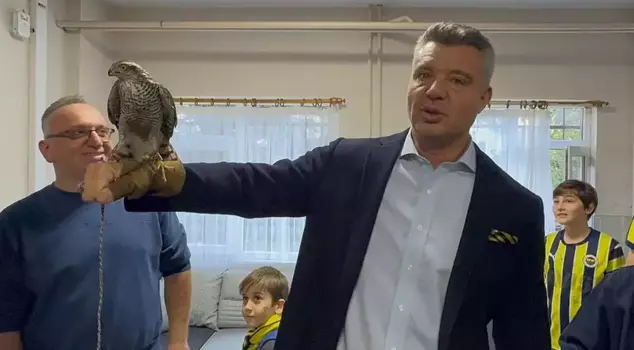 A surprise falcon for Sadettin Saran in Rize.