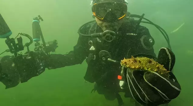 The mayor put on a diving suit and went underwater: The sight he saw surprised him.