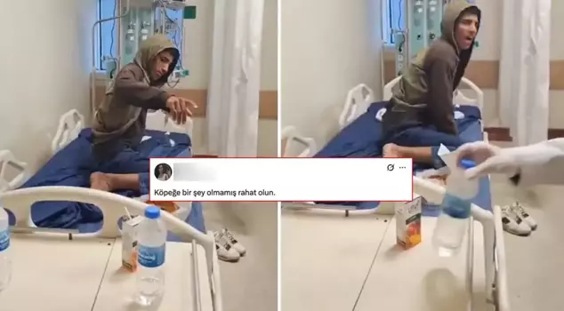 There is a backlash against the comment made about the young person who lost their life to rabies.