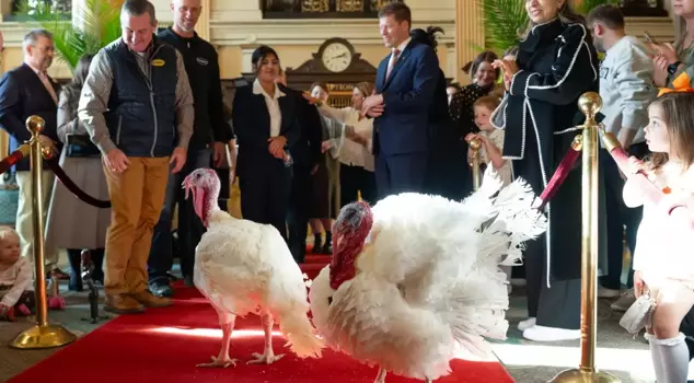 Trump's Thanksgiving tradition: He pardoned 2 turkeys.