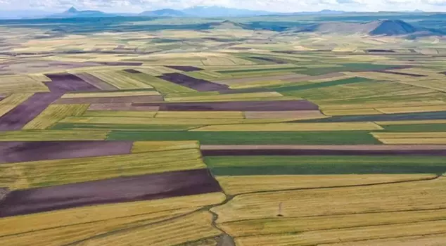 The investment route has changed, and the 10 provinces where land values have increased the most have been identified.