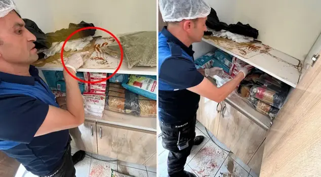 Another disgraceful sight in Devrek! The cabinets are infested with rat droppings.