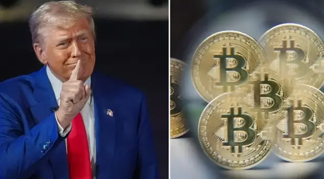 The crypto crash hit the Trump family: $1 billion wiped off their fortune.