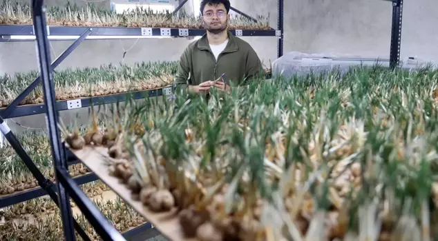 They produce in a facility of 14 square meters, and 5 kilos are sold for a round price! They also shared their secret for those interested.