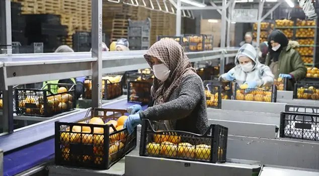 It was exporting to 25 countries! Turkey's food giant is on the brink of bankruptcy.