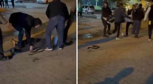 استخدمت الحجارة والعصي والسكاكين! شجار بين مجموعتين.