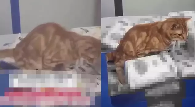 A three-letter chain store caused a huge embarrassment! Those who saw it felt nauseous.