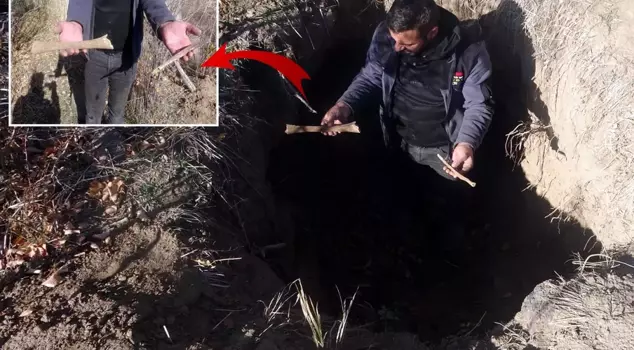 They unearthed bones from the ancient cemetery they excavated in search of gold.