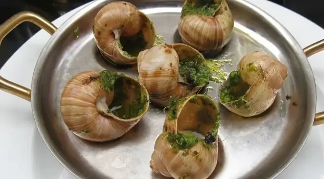 A snail worth 4 million TL was stolen from a farm in France.