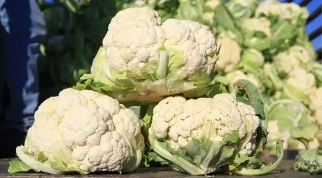 As ticket prices increased, cauliflower hit rock bottom!