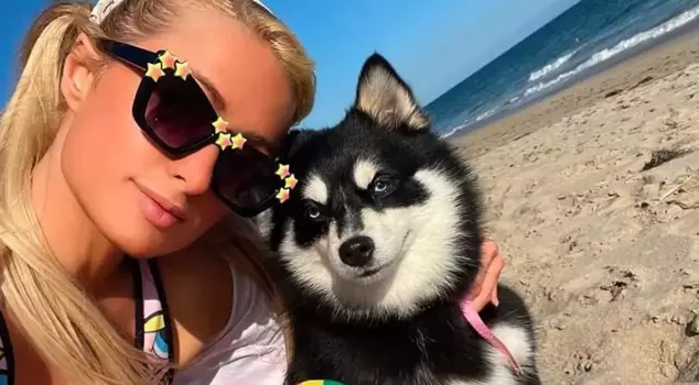 The trend of pet cloning is spreading among celebrities.