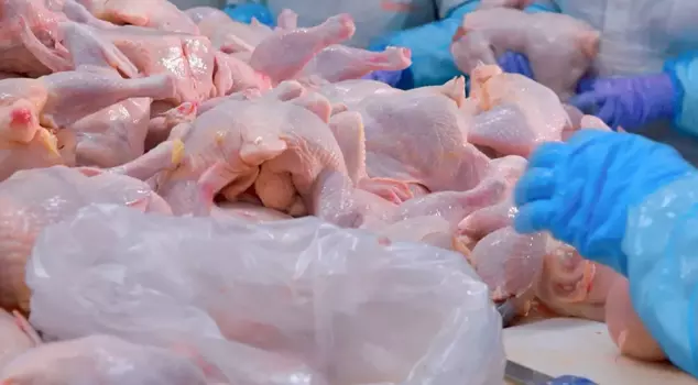 Turkey's giant chicken brand has declared bankruptcy.