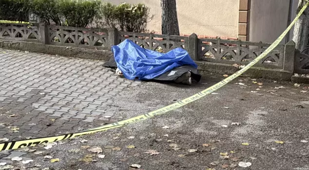 A foreign national university student was found dead on the road.