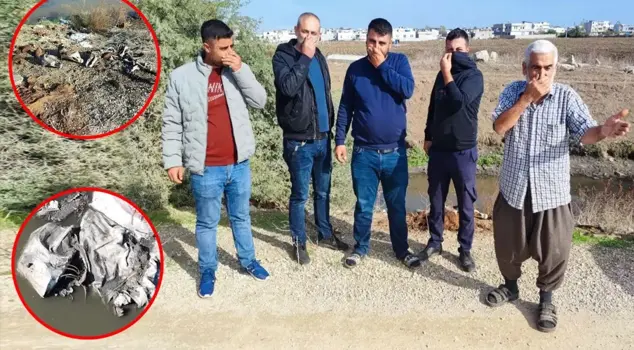 In Adana, remains of horses and donkeys were again thrown into the riverbed: Neighborhood residents reacted.