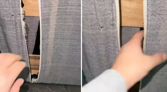 The fabric of the chair, from which a sound was coming, froze when I cut it: I am experiencing the shock of my life.