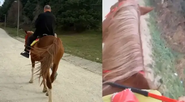 The fleeing horse is a 300-meter horror!