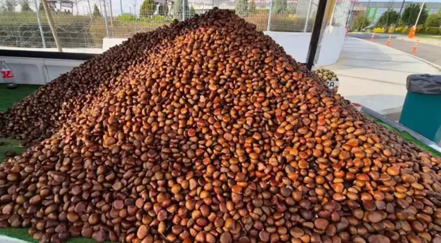 He sells 600 kilos a day at 175 lira per kilo! With the cold weather, his star has risen.