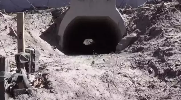 The construction of the love tunnel, designed for frogs to mate comfortably, has been completed.