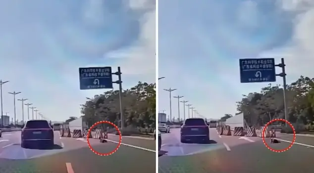 The moment when hearts are in mouths! The little child crawled onto the highway.