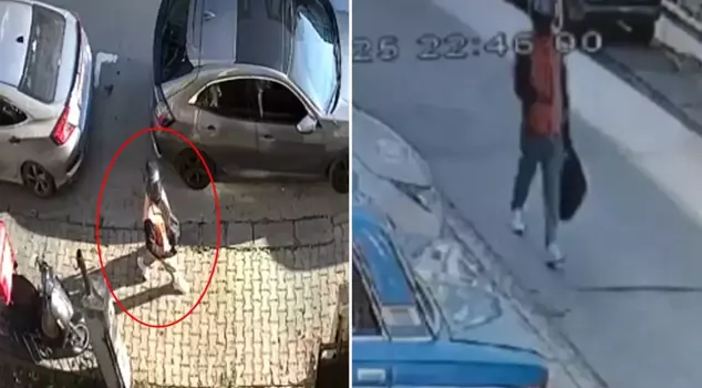 عندما دخلت المنزل، واجهت اللص وجهًا لوجه، ونجت بصعوبة! انظروا من كان المحرض.