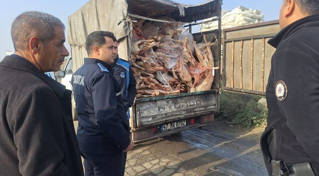 بالضبط 1 طن و900 كيلو! لو لم يتم القبض عليهم، كانوا سيطعمون كل ذلك للمواطنين.