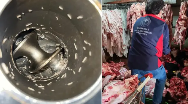Disgusting images! The meats are covered in mold, and there are worms in the machines.