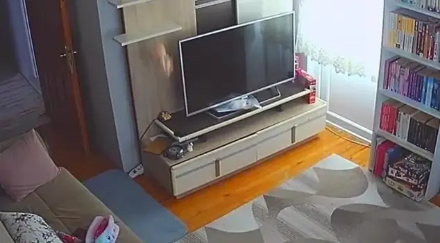 Зрелище, показывающее силу землетрясения! Как колыбель, качалось.