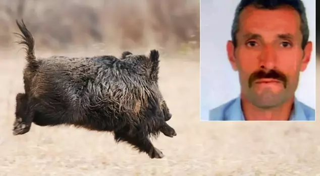 The wild boar he wanted to hunt became the unfortunate man's end.