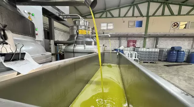 المختار أسس مصنعًا وقام بتوظيف جميع سكان الحي! ويصدر حتى إلى المملكة العربية السعودية.