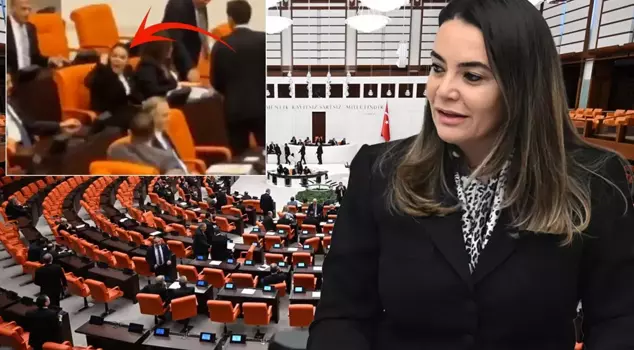 Türkeş's daughter’s remarks about Öcalan stirred up the Parliament.