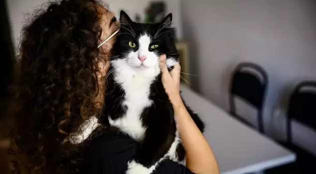 Pet owners who miss this date are in trouble! They will pay much more.