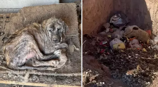 Here is the translation of your text:

