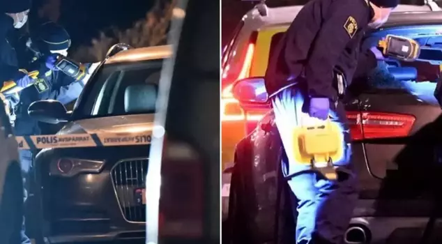 Шокирующее убийство в Швеции: Убийца оказался 12-летним.