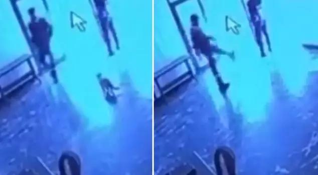 He kicked the cat, and that moment was captured on camera.