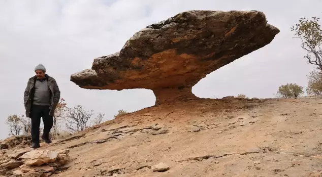 ديار بكر: بقايا من العصر الجليدي تعود إلى 6 ملايين سنة مضت