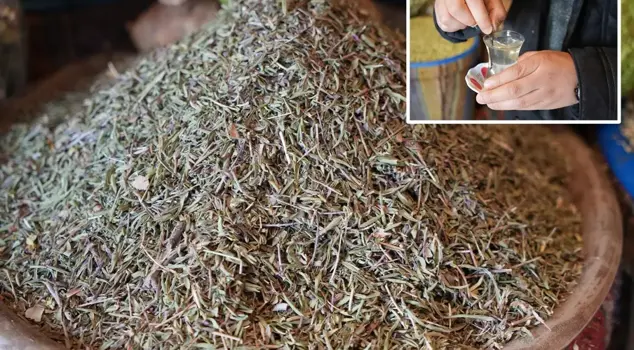 A pinch of it is enough to send all diseases back before they arrive.