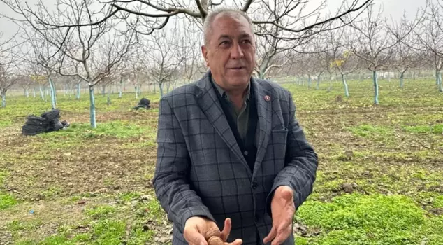 A product that enriches a village! Doctors and businesspeople are flocking here.