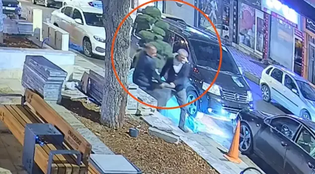 They loaded the tree from the park onto the car and took it away.