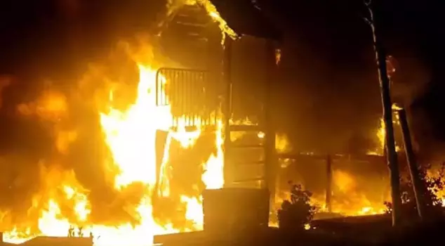 The child who turned the park to ashes: We made a fire to warm up.