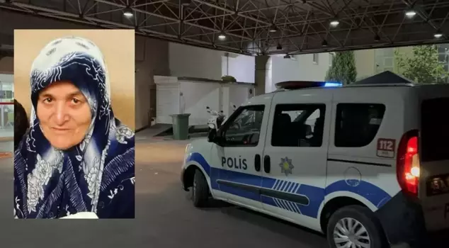 تم طعن الجدة بواسطة حفيدها وتوفيت.