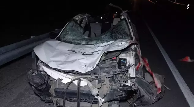 A horrific incident in Malatya: Million-dollar foals perished on the highway.