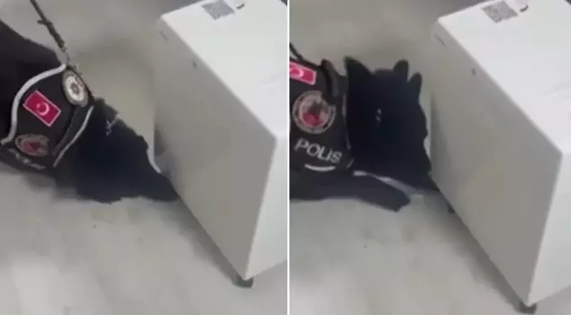 Из вентилятора вышло 5 килограммов наркотиков.