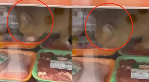 A shocking scandal at the chain supermarket! Those who saw it immediately started recording.